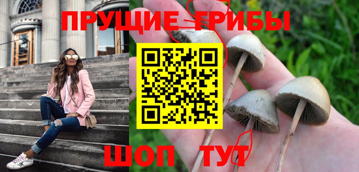 Псилоцибиновые грибы MAGIC MUSHROOMS  Галлюциногенные грибы MAGIC MUSHROOMS  Тобольск  Вход с VPN 